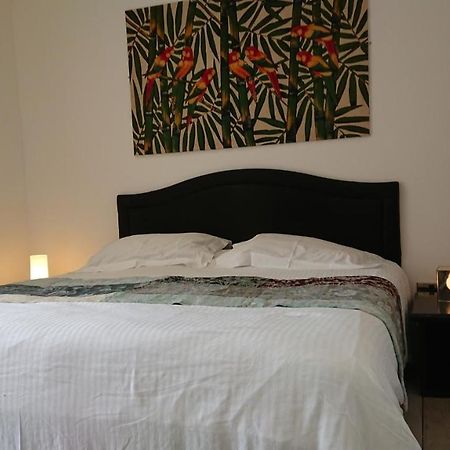 Surf Lookout - King Size En-Suite With Sea Views New Quay Eksteriør billede